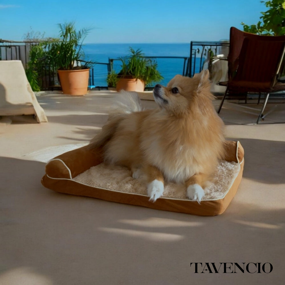 OrthoRelax Hundebett®